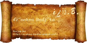 Énekes Beáta névjegykártya